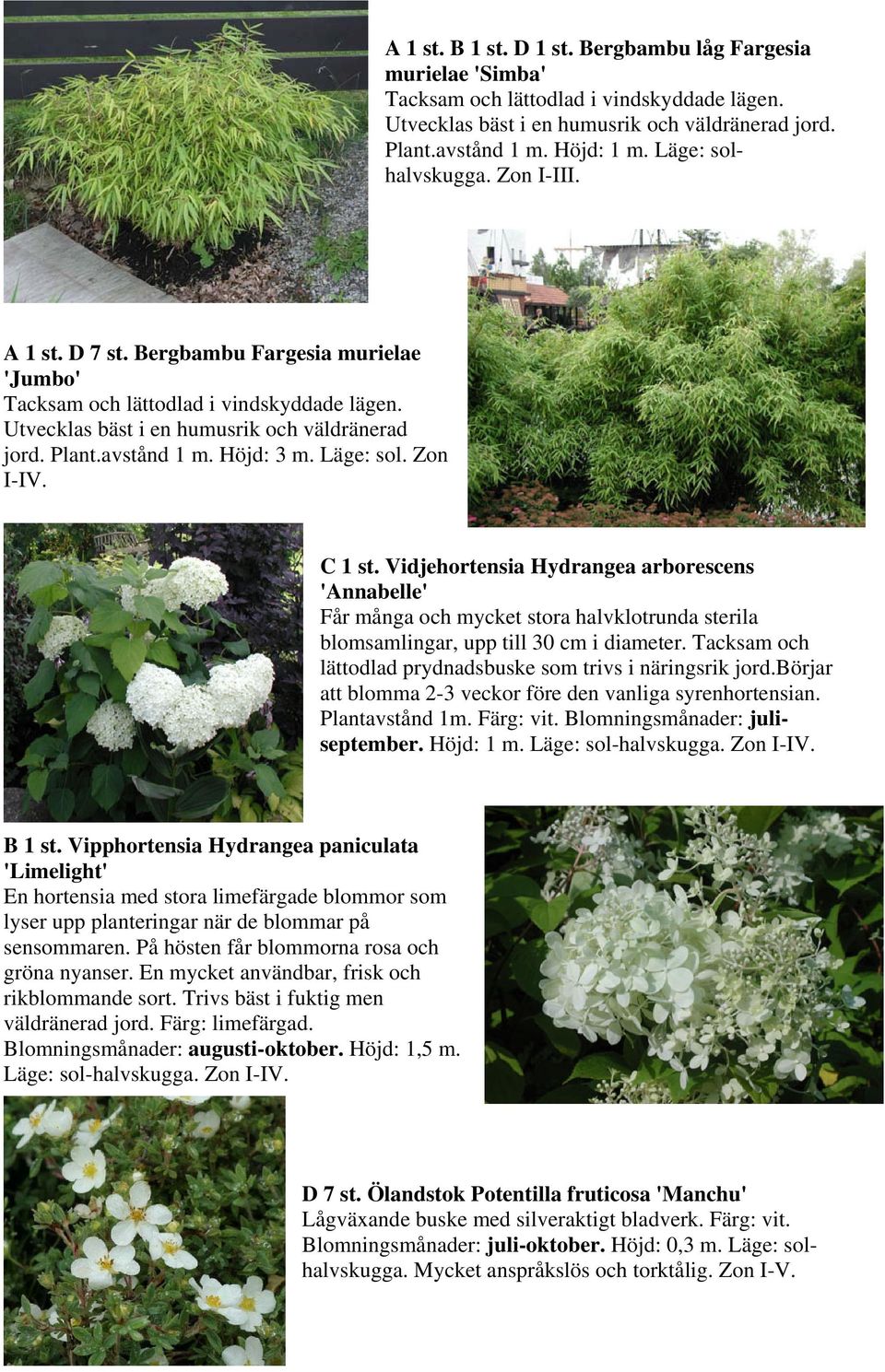 Höjd: 3 m. Läge: sol. Zon I-IV. C 1 st. Vidjehortensia Hydrangea arborescens 'Annabelle' Får många och mycket stora halvklotrunda sterila blomsamlingar, upp till 30 cm i diameter.