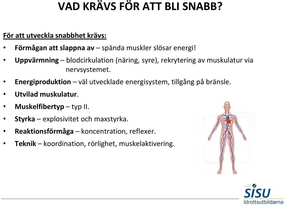 Uppvärmning blodcirkulation (näring, syre), rekrytering av muskulatur via nervsystemet.