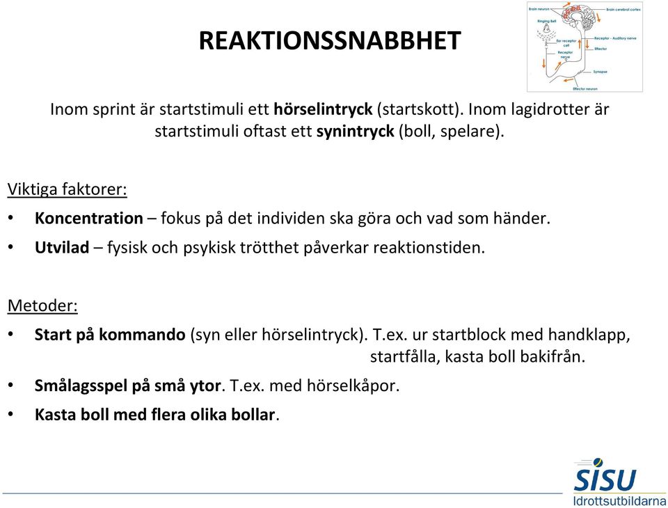 Viktiga faktorer: Koncentration fokus på det individen ska göra och vad som händer.