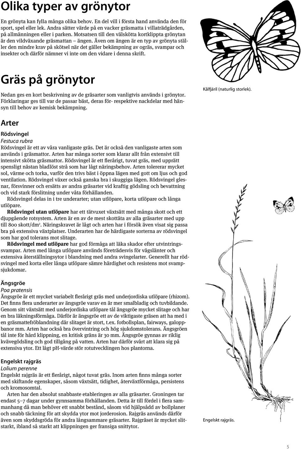 Även om ängen är en typ av grönyta ställer den mindre krav på skötsel när det gäller bekämpning av ogräs, svampar och insekter och därför nämner vi inte om den vidare i denna skrift.