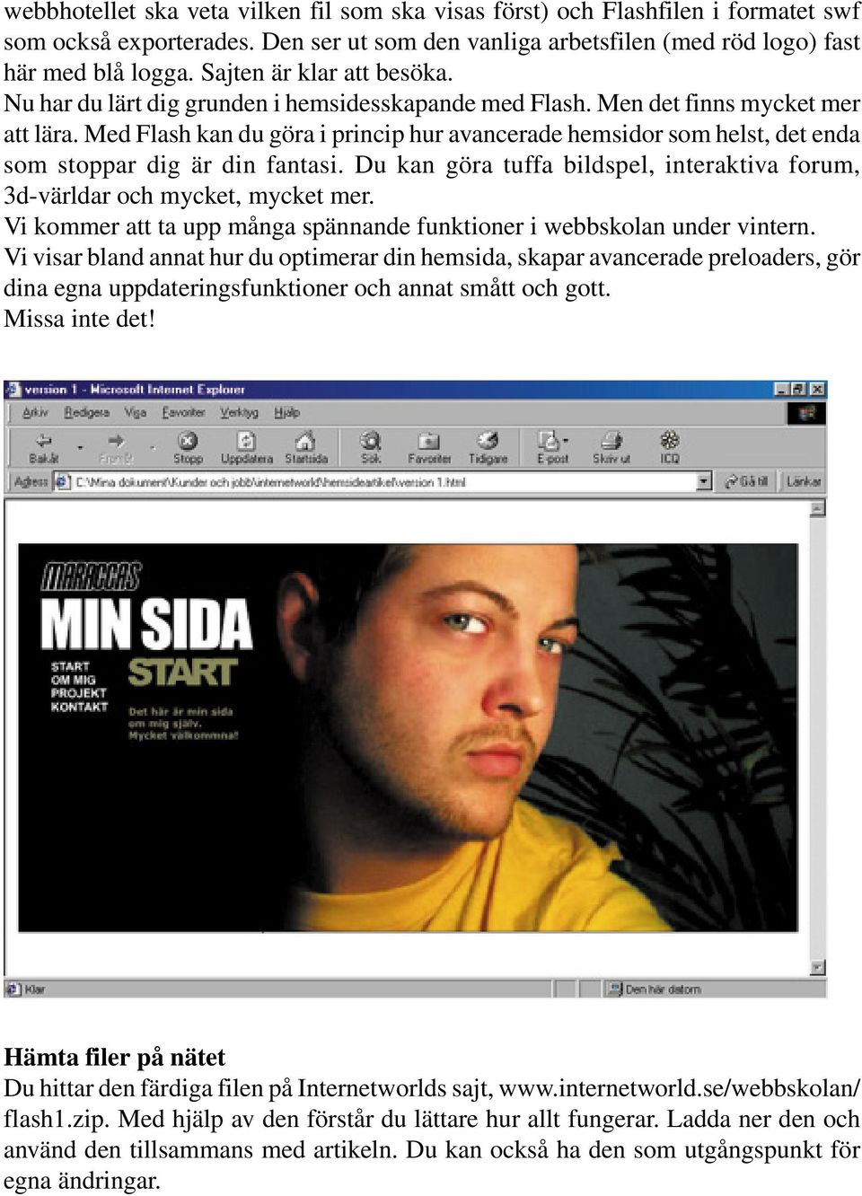 Med Flash kan du göra i princip hur avancerade hemsidor som helst, det enda som stoppar dig är din fantasi. Du kan göra tuffa bildspel, interaktiva forum, 3d-världar och mycket, mycket mer.