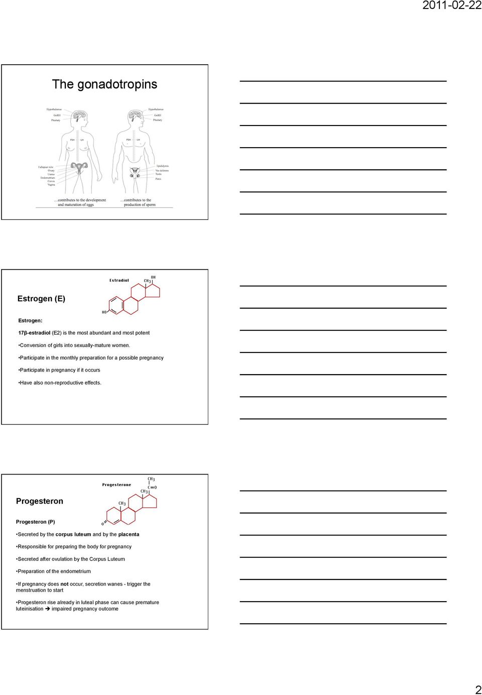 Progesteron Progesteron (P) Secreted by the corpus luteum and by the placenta Responsible for preparing the body for pregnancy Secreted after ovulation by the Corpus