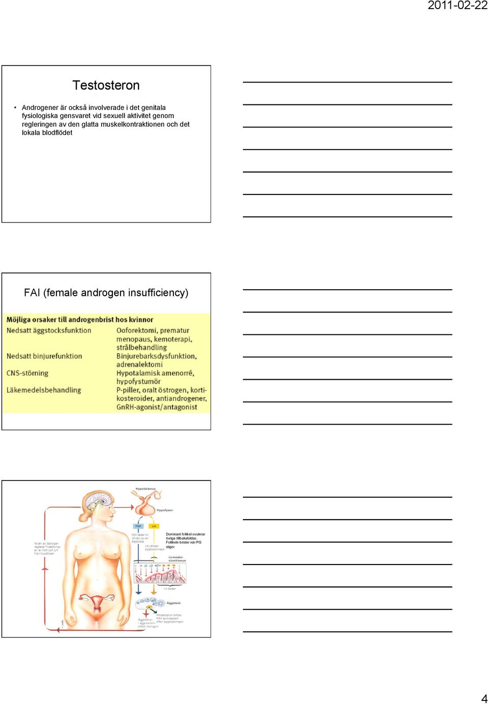 muskelkontraktionen och det lokala blodflödet FAI (female androgen