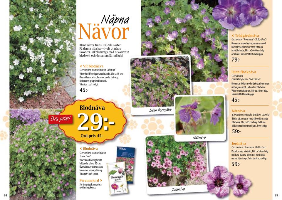 79:- Blodnäva Vit blodnäva Geranium sanguineum Album Växer kuddformigt mattbildande, blir ca 15 cm. Översållas av vita blommor under juli-aug. Dekorativt grågrönt bladverk. Trivs torrt och soligt.