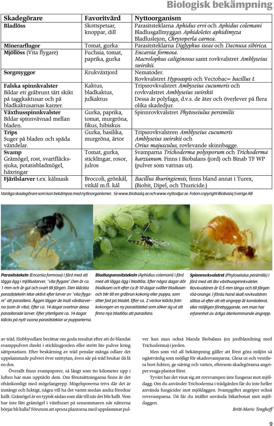 Macrolophus caliginosus samt rovkvalstret Amblyseius swirskii. Sorgmyggor Krukväxtjord Nematoder. Rovkvalstret Hypoaspis och Vectobac= bacillus t.