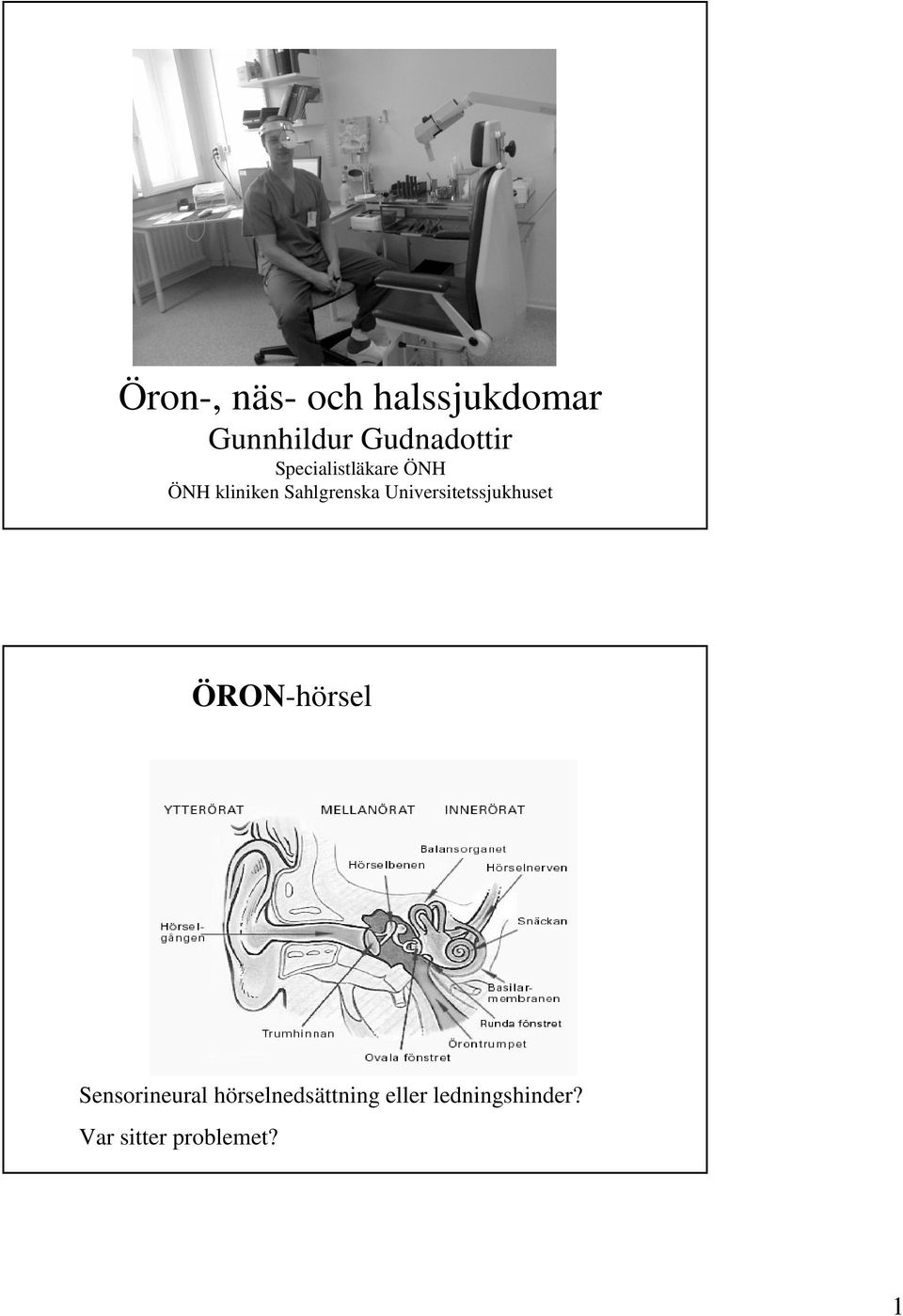 Universitetssjukhuset ÖRON-hörsel Sensorineural