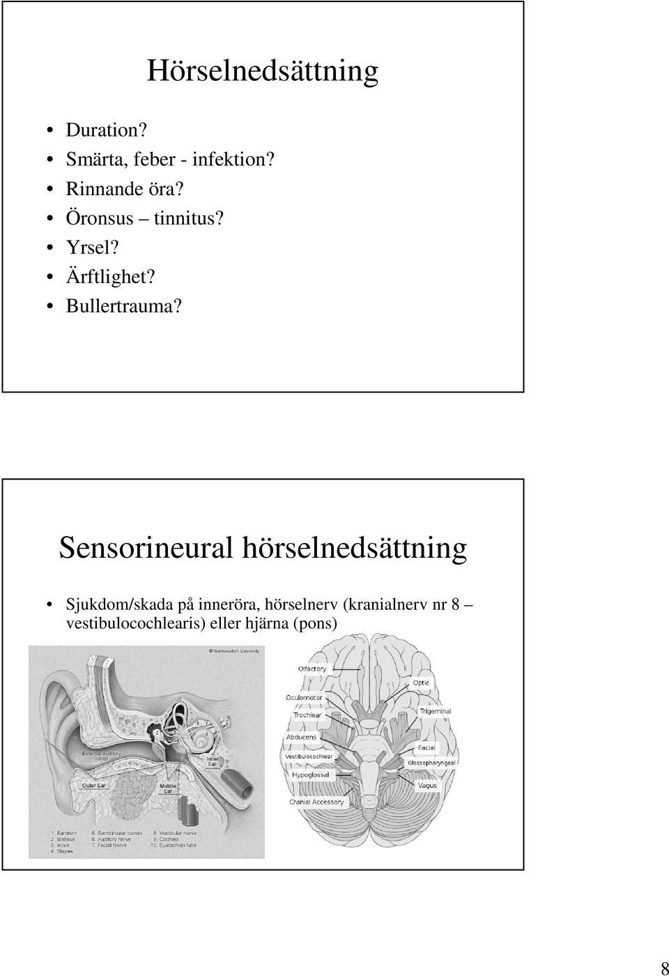 Bullertrauma?