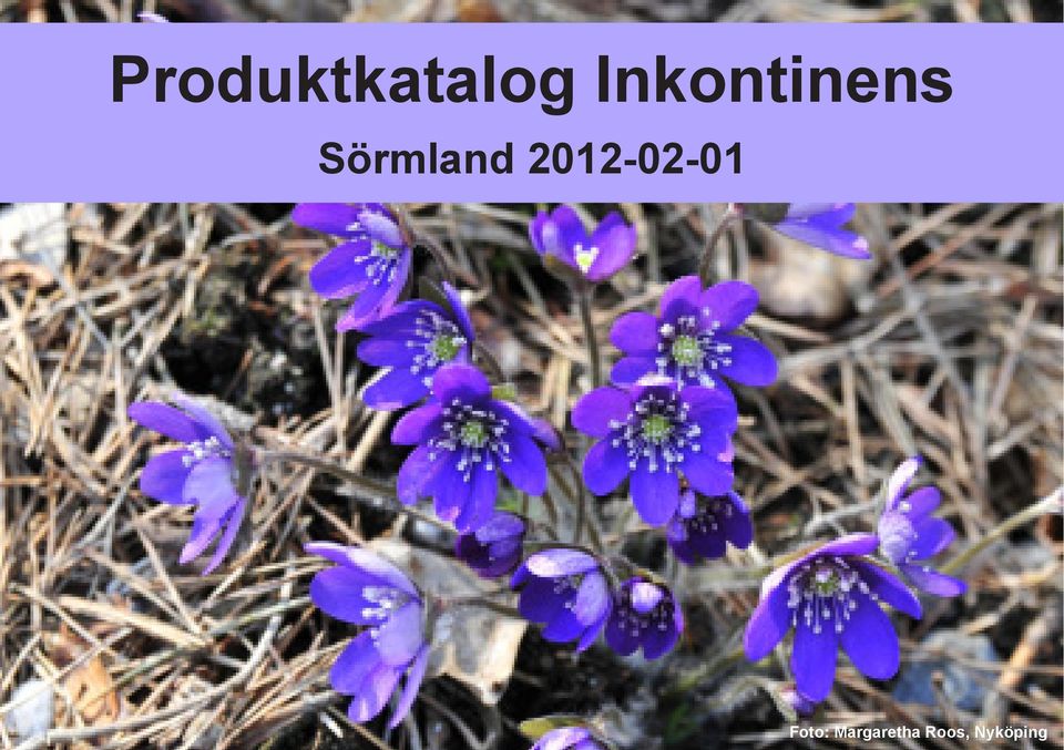 Sörmland 2012-02-01