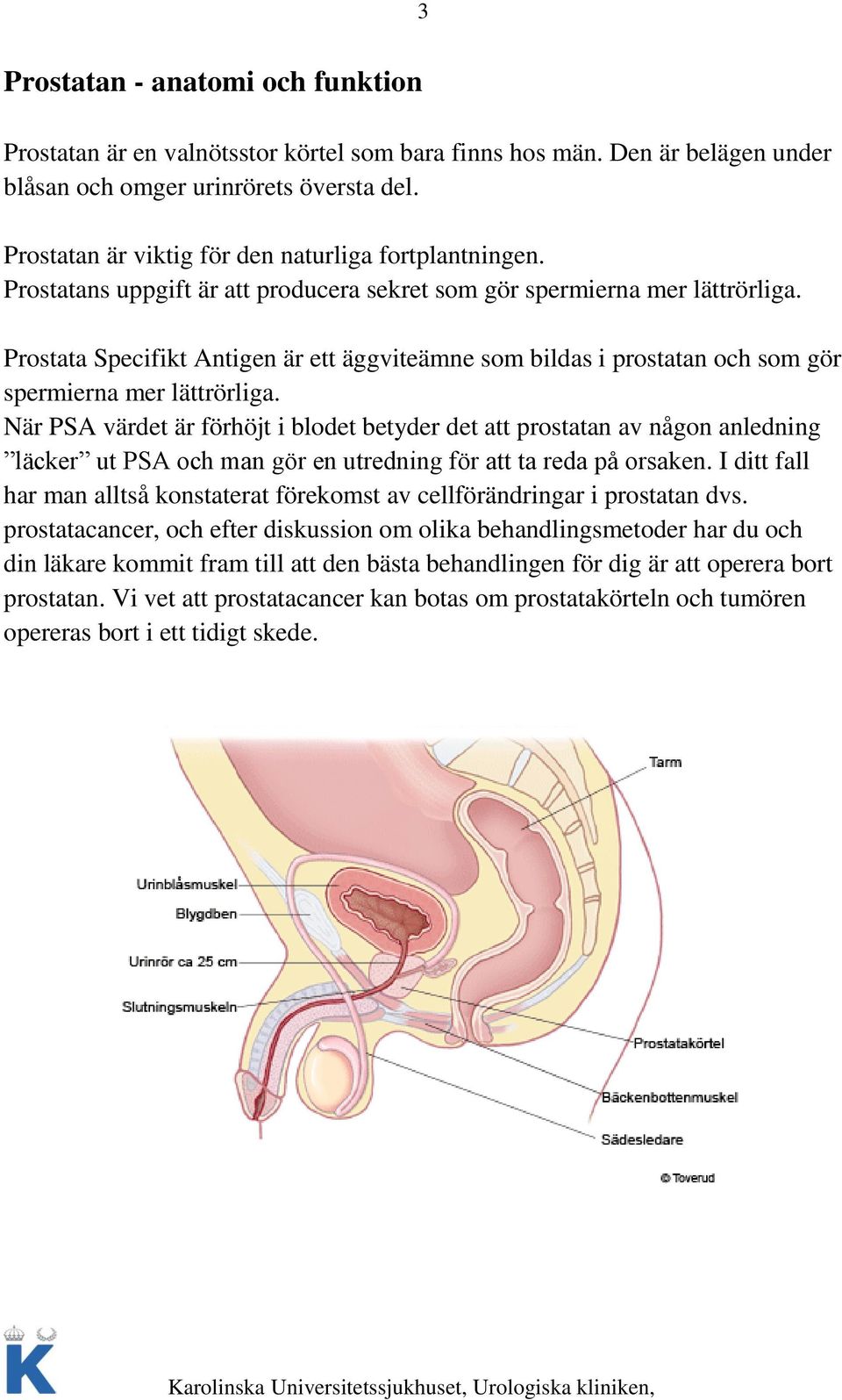 förhöjda prostata värden förhöjda prostata värden