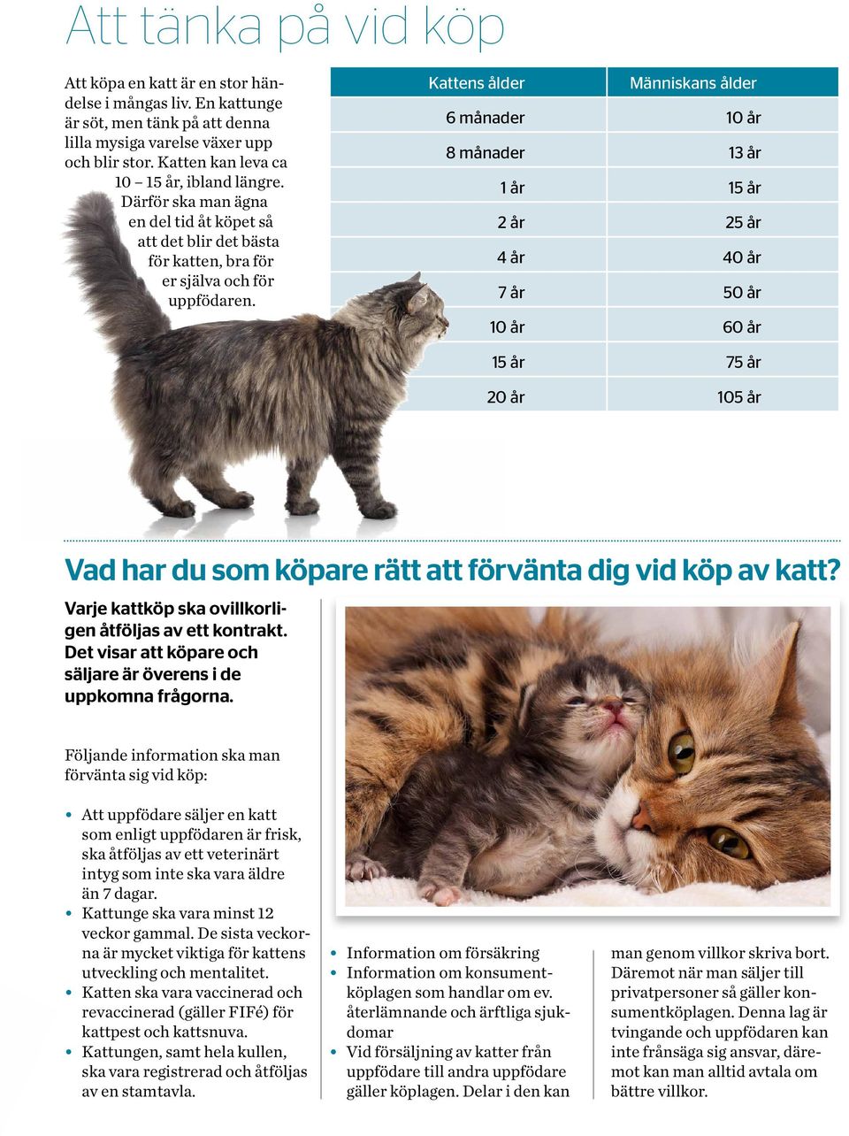 Kattens ålder Människans ålder 6 månader 10 år 8 månader 13 år 1 år 15 år 2 år 25 år 4 år 40 år 7 år 50 år 10 år 60 år 15 år 75 år 20 år 105 år Vad har du som köpare rätt att förvänta dig vid köp av