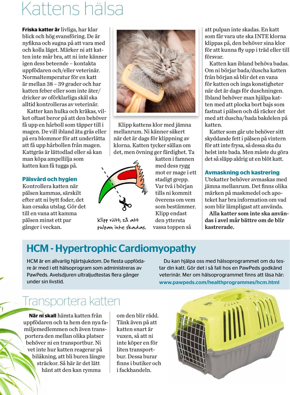 Normaltemperatur för en katt är mellan 38 39 grader och har katten feber eller som inte äter/ dricker av oförklarliga skäl ska alltid kontrolleras av veterinär.