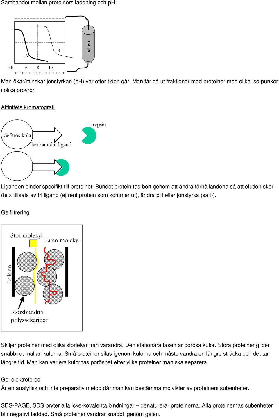 Bundet protein tas bort genom att ändra förhållandena så att elution sker (te x tillsats av fri ligand (ej rent protein som kommer ut), ändra p eller jonstyrka (salt)).