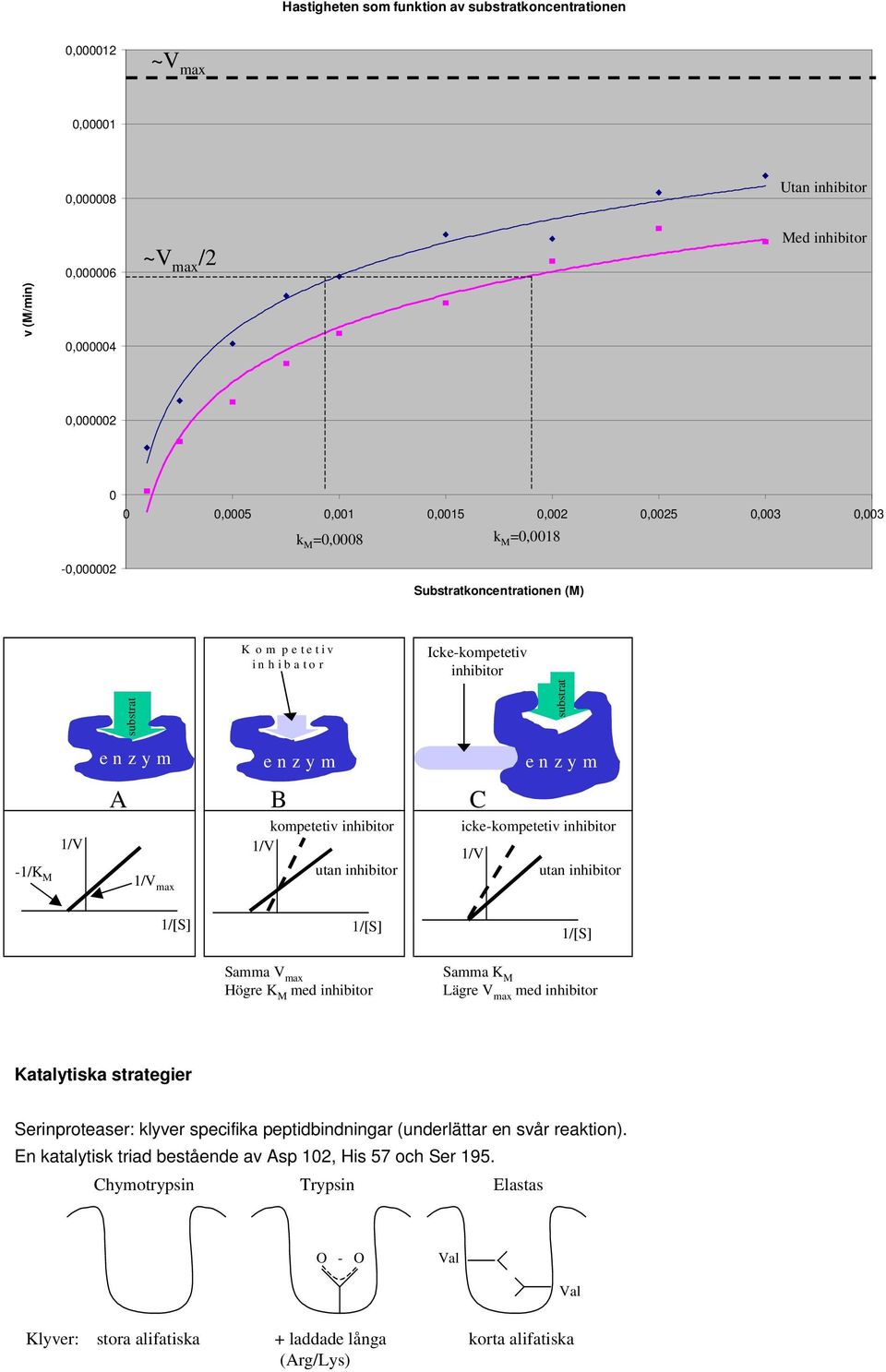 substrat e n z y m e n z y m e n z y m A B kompetetiv inhibitor icke-kompetetiv inhibitor 1/V 1/V 1/V -1/K M utan inhibitor utan inhibitor 1/Vmax 1/[S] 1/[S] 1/[S] Samma V max ögre K M med inhibitor