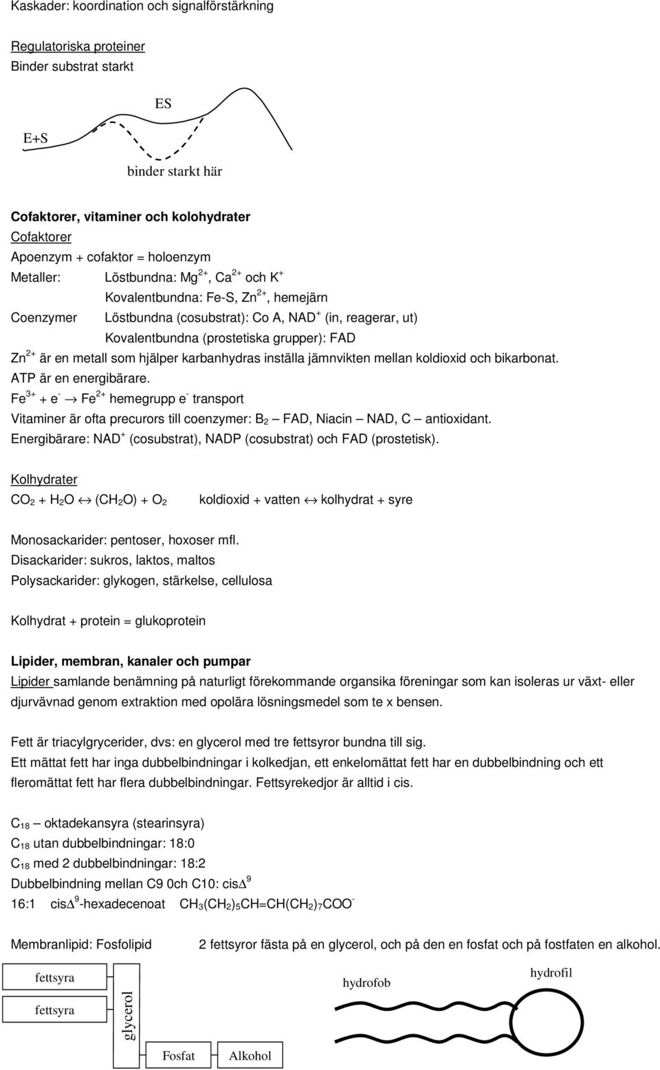 metall som hjälper karbanhydras inställa jämnvikten mellan koldioxid och bikarbonat. ATP är en energibärare.