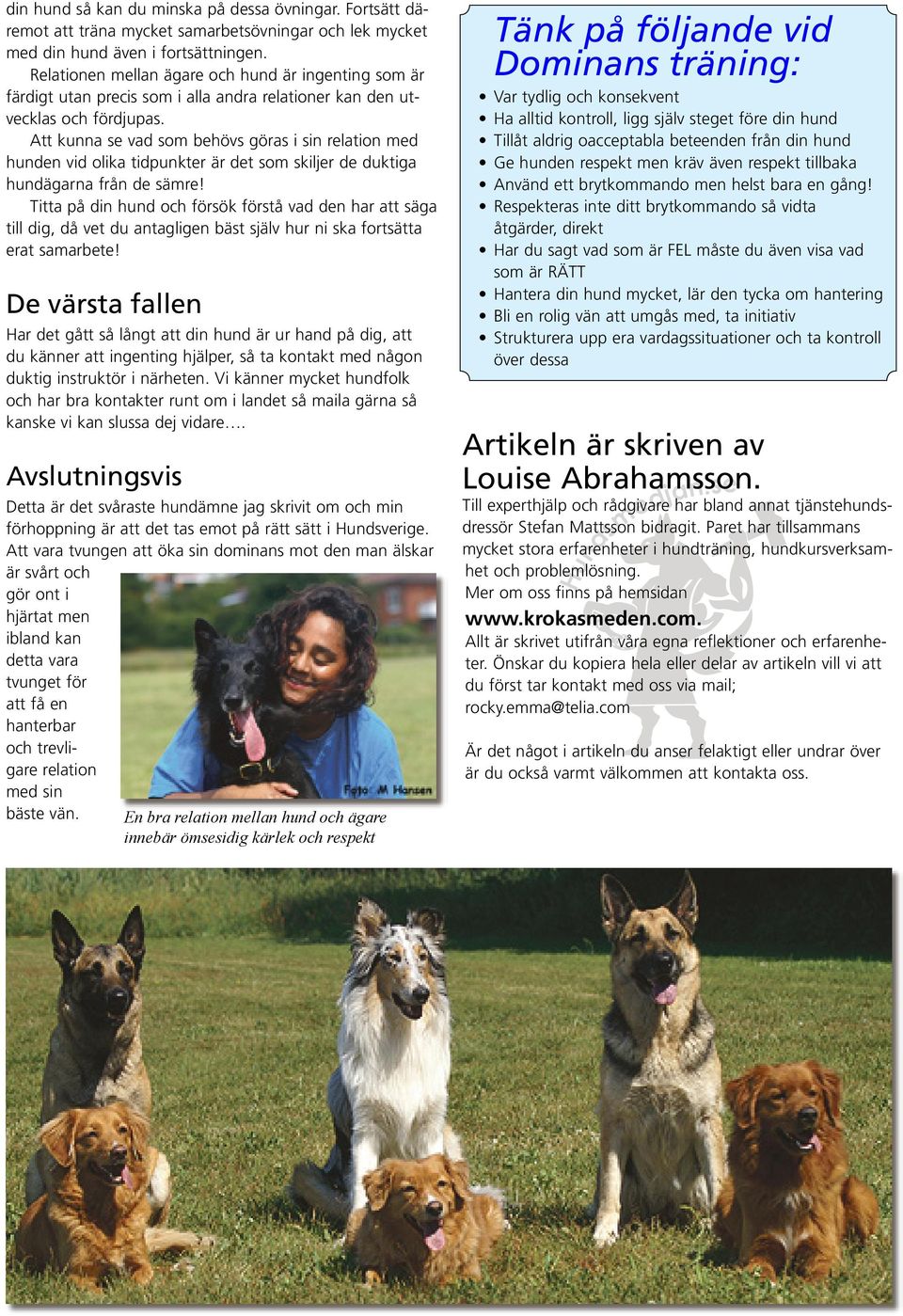 Att kunna se vad som behövs göras i sin relation med hunden vid olika tidpunkter är det som skiljer de duktiga hundägarna från de sämre!
