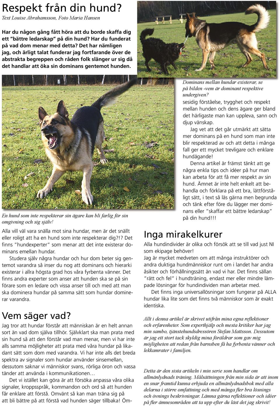 En hund som inte respekterar sin ägare kan bli farlig för sin omgivning och sig själv!