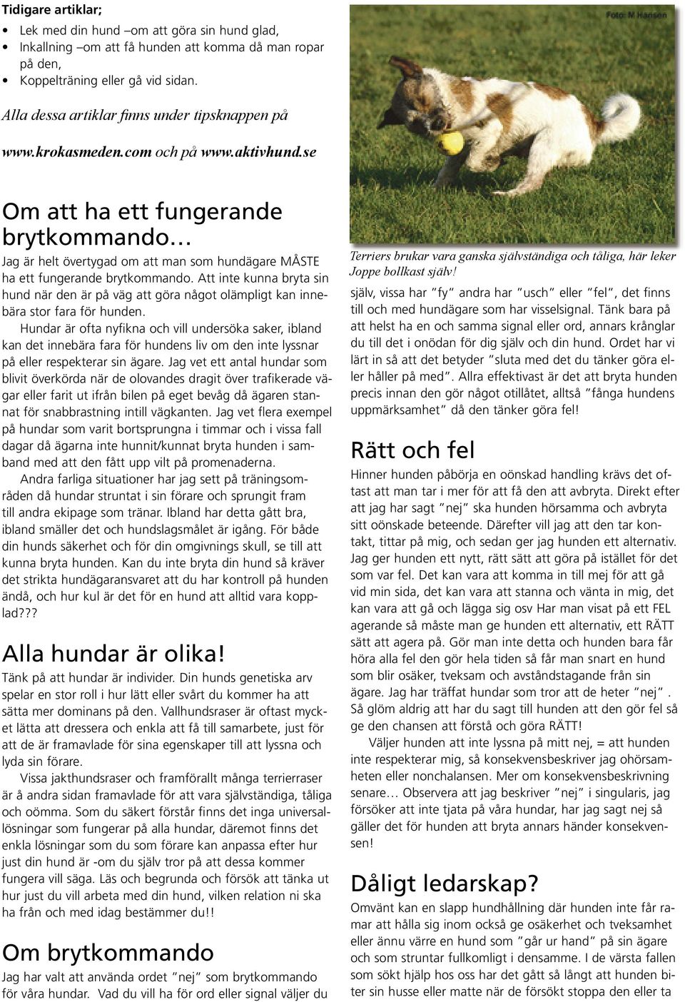 se Om att ha ett fungerande brytkommando Jag är helt övertygad om att man som hundägare MÅSTE ha ett fungerande brytkommando.