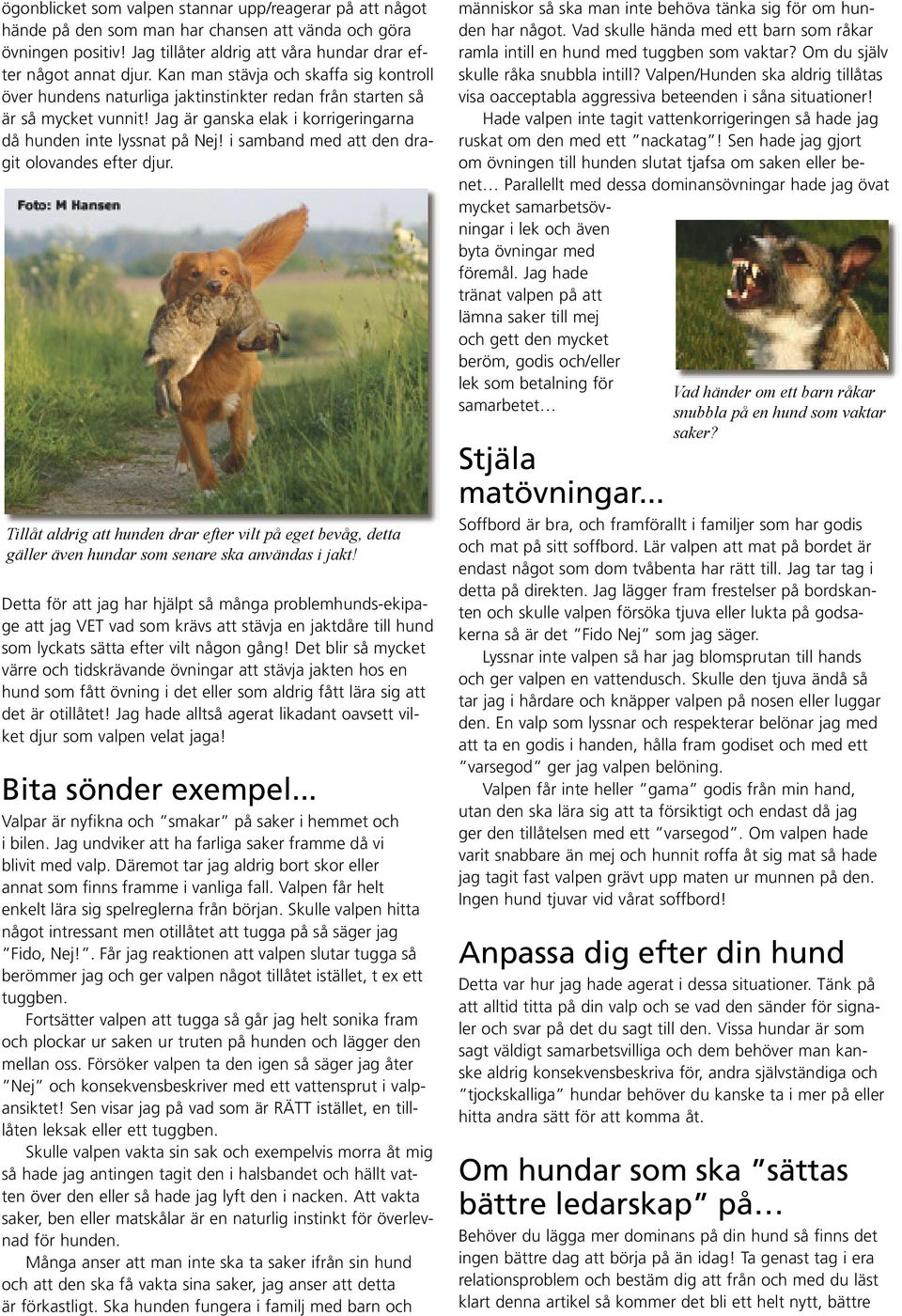 i samband med att den dragit olovandes efter djur. Tillåt aldrig att hunden drar efter vilt på eget bevåg, detta gäller även hundar som senare ska användas i jakt!