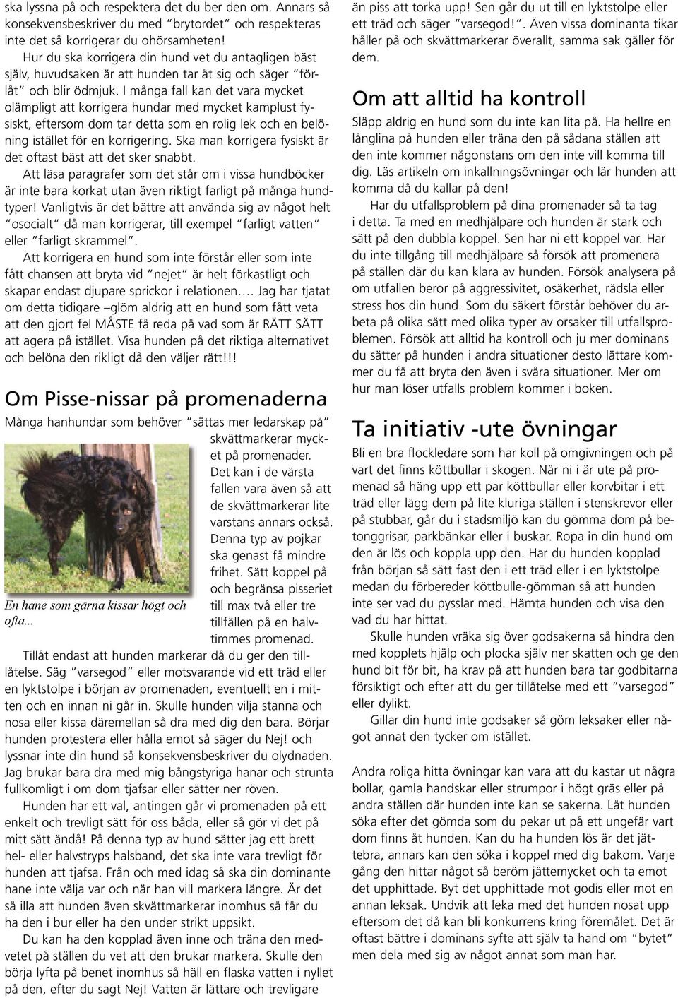 I många fall kan det vara mycket olämpligt att korrigera hundar med mycket kamplust fysiskt, eftersom dom tar detta som en rolig lek och en belöning istället för en korrigering.