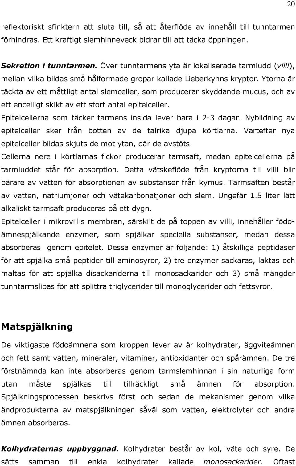 Ytorna är täckta av ett måttligt antal slemceller, som producerar skyddande mucus, och av ett encelligt skikt av ett stort antal epitelceller.