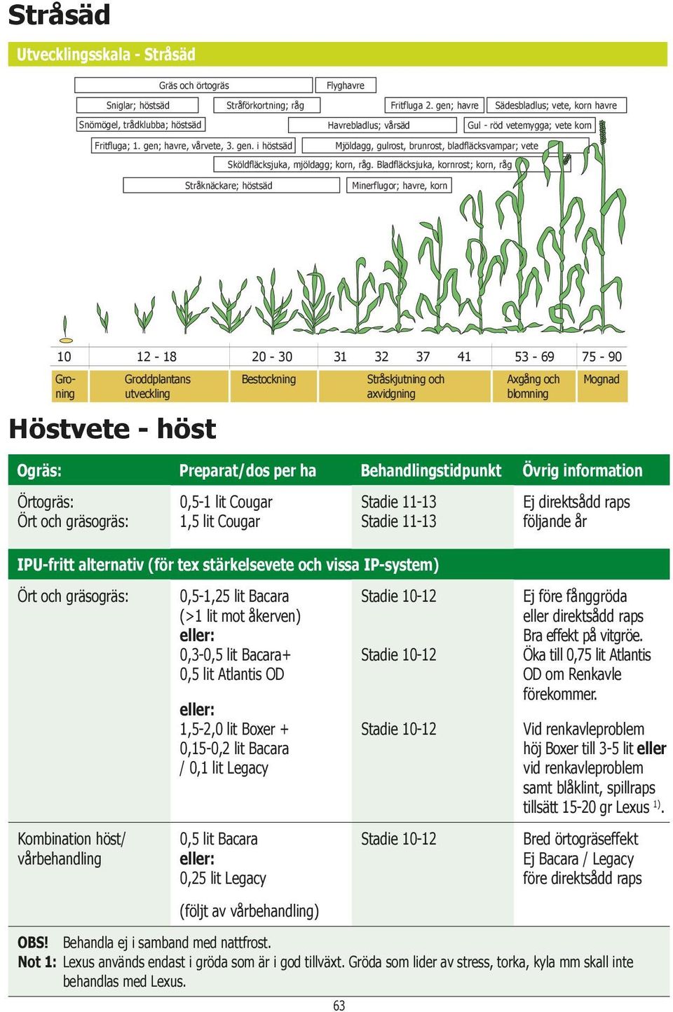 havre, vårvete, 3. gen. i höstsäd Mjöldagg, gulrost, brunrost, bladfläcksvampar; vete Sköldfläcksjuka, mjöldagg; korn, råg.