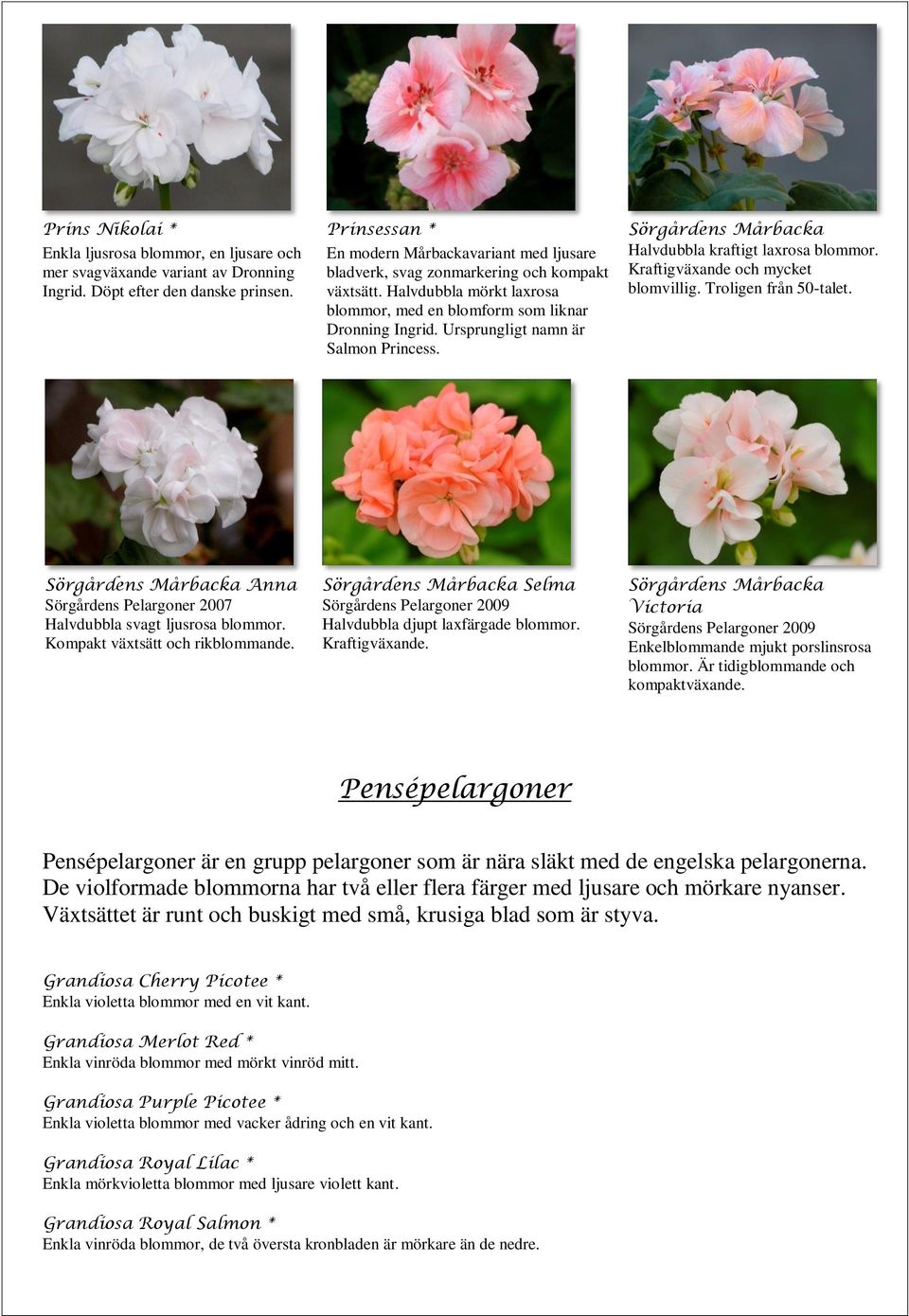 Ursprungligt namn är Salmon Princess. Sörgårdens Mårbacka Halvdubbla kraftigt laxrosa blommor. Kraftigväxande och mycket blomvillig. Troligen från 50-talet.