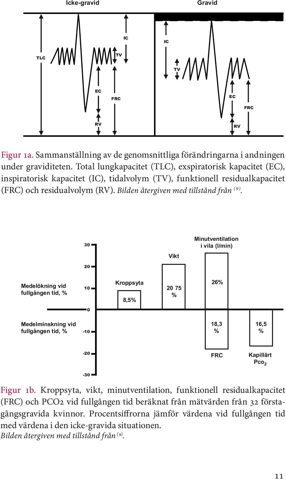 Bilden återgiven med tillstånd från ( 9 ).