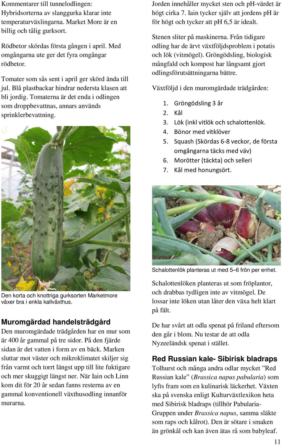 Tomaterna är det enda i odlingen som droppbevattnas, annars används sprinklerbevattning. Jorden innehåller mycket sten och ph-värdet är högt cirka 7.