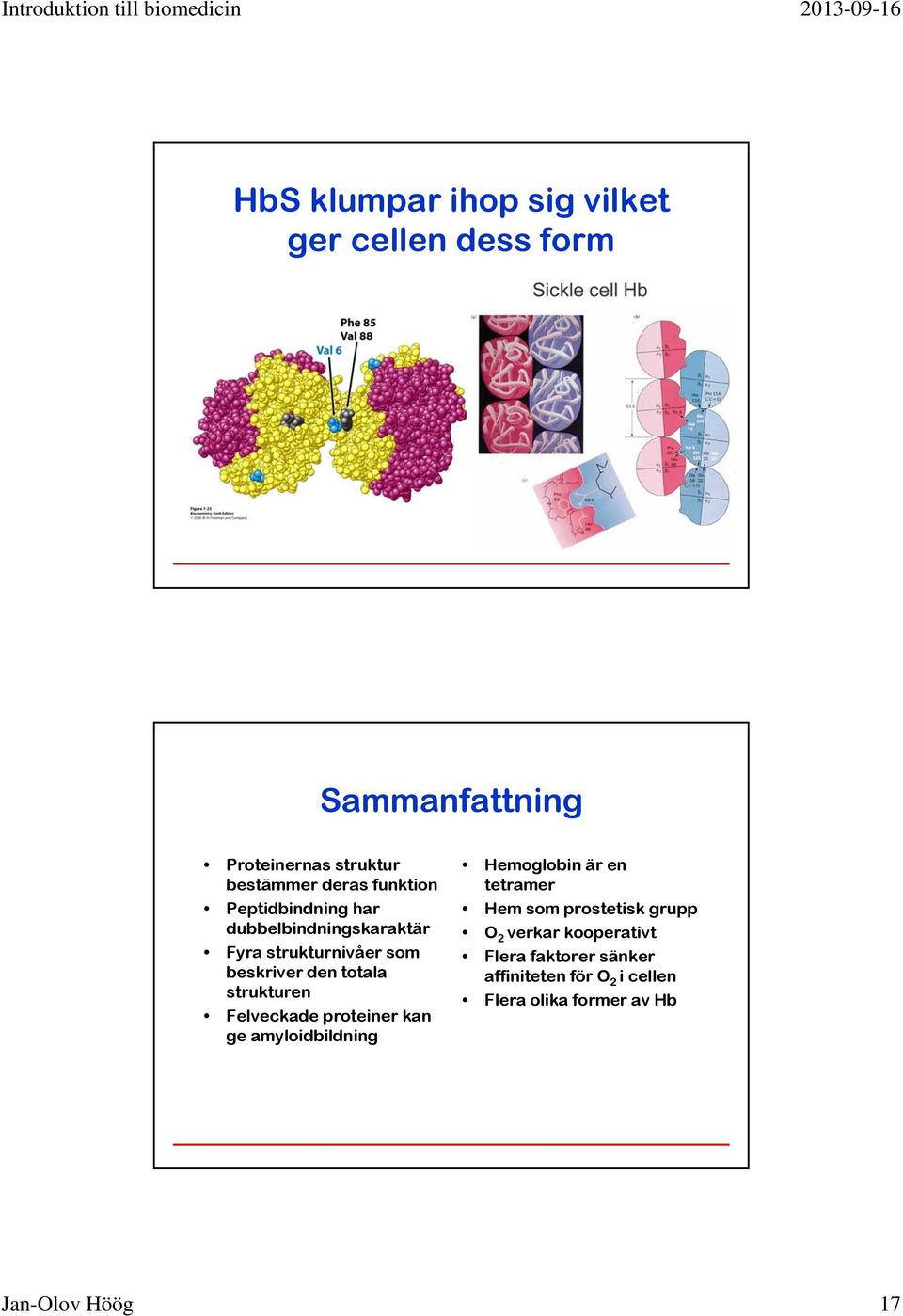 strukturen Felveckade proteiner kan ge amyloidbildning Hemoglobin är en tetramer Hem som prostetisk