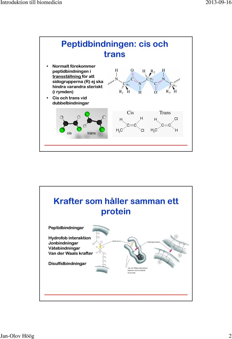 dubbelbindningar Cis Trans Krafter som håller samman ett protein Peptidbindningar