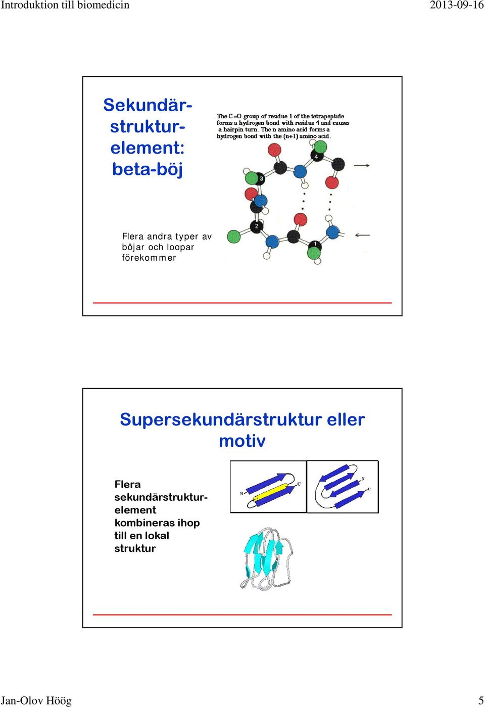 Supersekundärstruktur eller motiv Flera