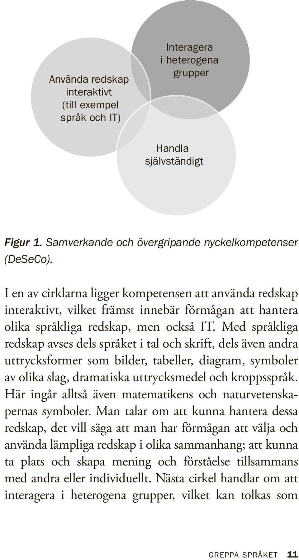 Med språkliga redskap avses dels språket i tal och skrift, dels även andra uttrycksformer som bilder, tabeller, diagram, symboler av olika slag, dramatiska uttrycksmedel och kroppsspråk.