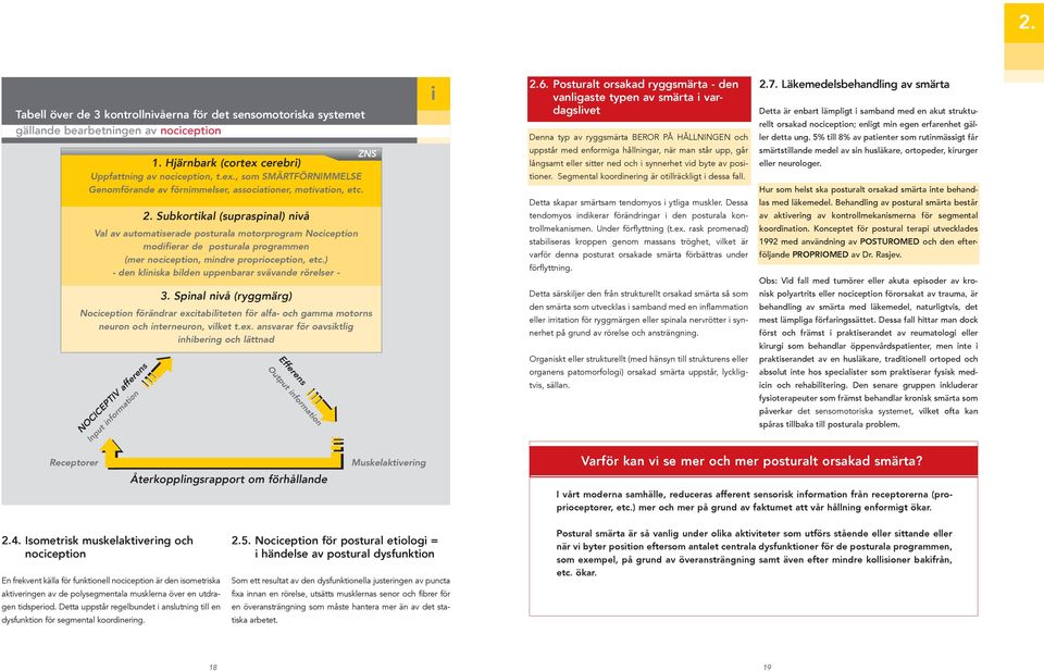 Subkortikal (supraspinal) nivå Val av automatiserade posturala motorprogram Nociception modifierar de posturala programmen (mer nociception, mindre proprioception, etc.