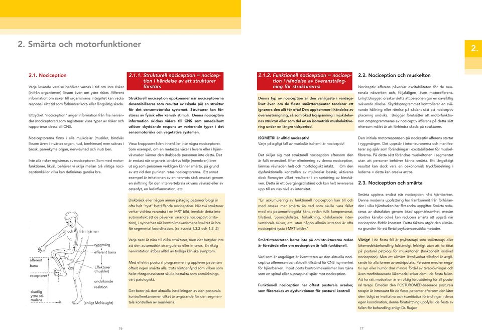 Uttrycket "nociception" anger information från fria nervändar (nociceptorer) som registrerar vissa typer av risker och rapporterar dessa till CNS.