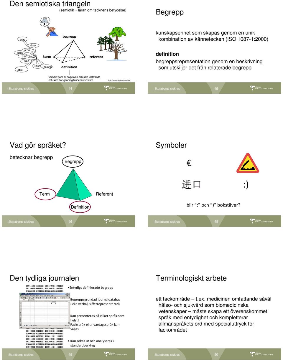 genomgående huvudstam Från Terminologicentrum TNC 44 45 Vad gör språket? Symboler betecknar begrepp Begrepp Term Referent :) Definition blir : och ) bokstäver?