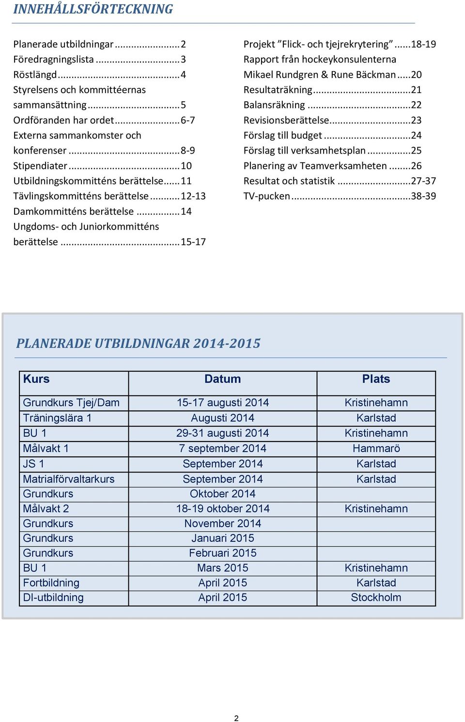 .. 14 Ungdoms- och Juniorkommitténs berättelse... 15-17 Projekt Flick- och tjejrekrytering...18-19 Rapport från hockeykonsulenterna Mikael Rundgren & Rune Bäckman...20 Resultaträkning.