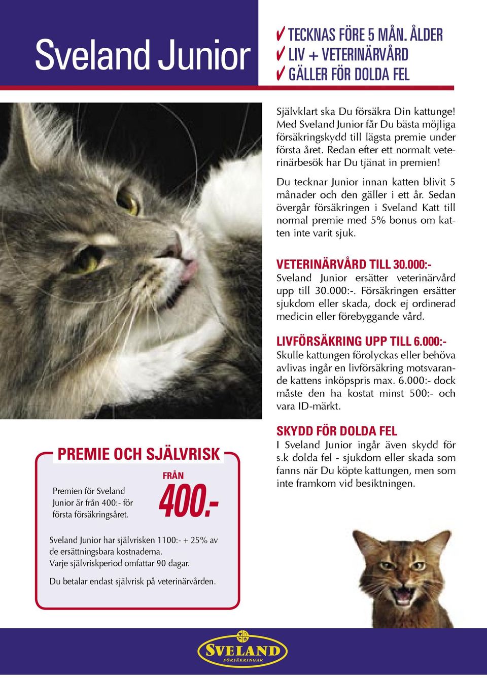 Du tecknar Junior innan katten blivit 5 månader och den gäller i ett år. Sedan övergår försäkringen i Sveland Katt till normal premie med 5% bonus om katten inte varit sjuk. VETERINÄRVÅRD TILL 30.