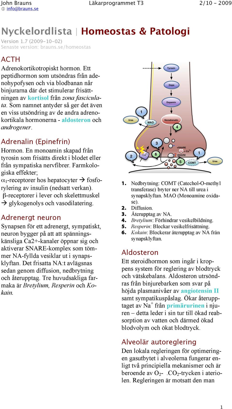 Som namnet antyder så ger det även en viss utsöndring av de andra adrenokortikala hormonerna - aldosteron och androgener. Urea 1 MAO Tyrosin Dopa Dopamin Noradrenalin 4 Adrenalin (Epinefrin) Hormon.