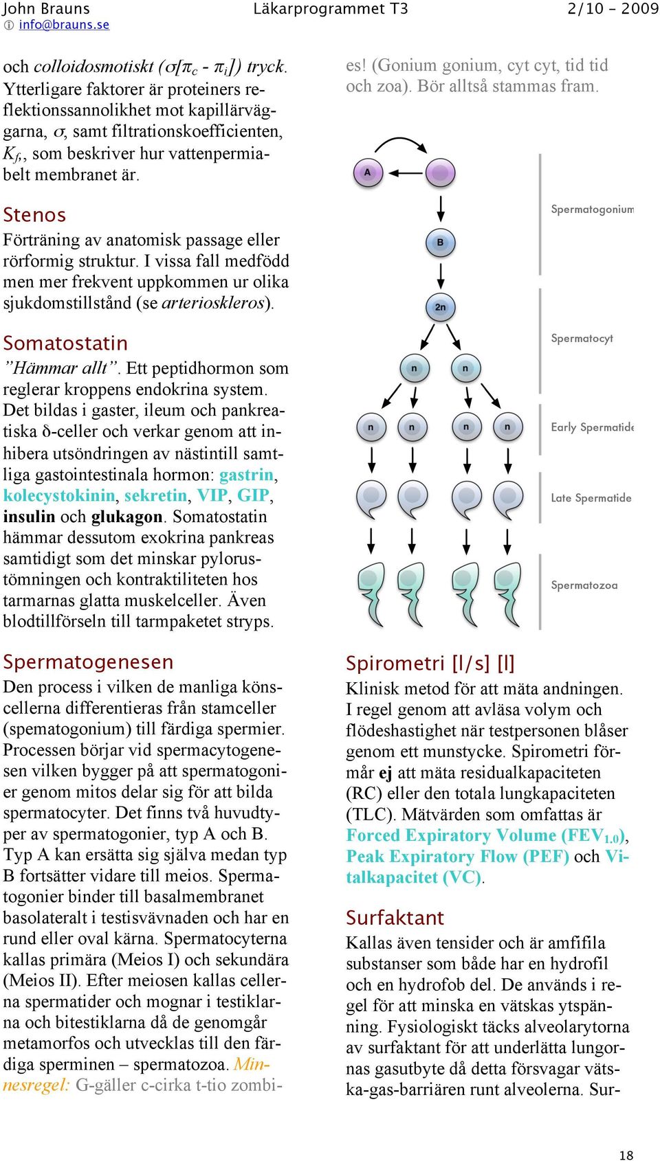 Spermatogenesen Den process i vilken de manliga könscellerna differentieras från stamceller (spematogonium) till färdiga spermier.