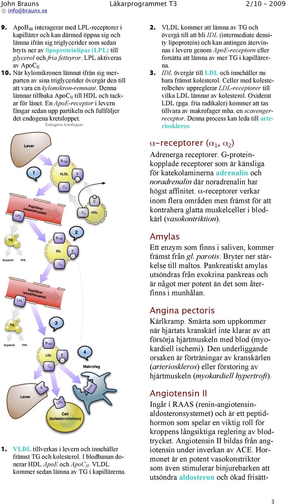 Denna lämnar tillbaka ApoC II till HDL och tackar för lånet. En ApoE-receptor i levern fångar sedan upp partikeln och fullföljer det endogena kretsloppet. 2.