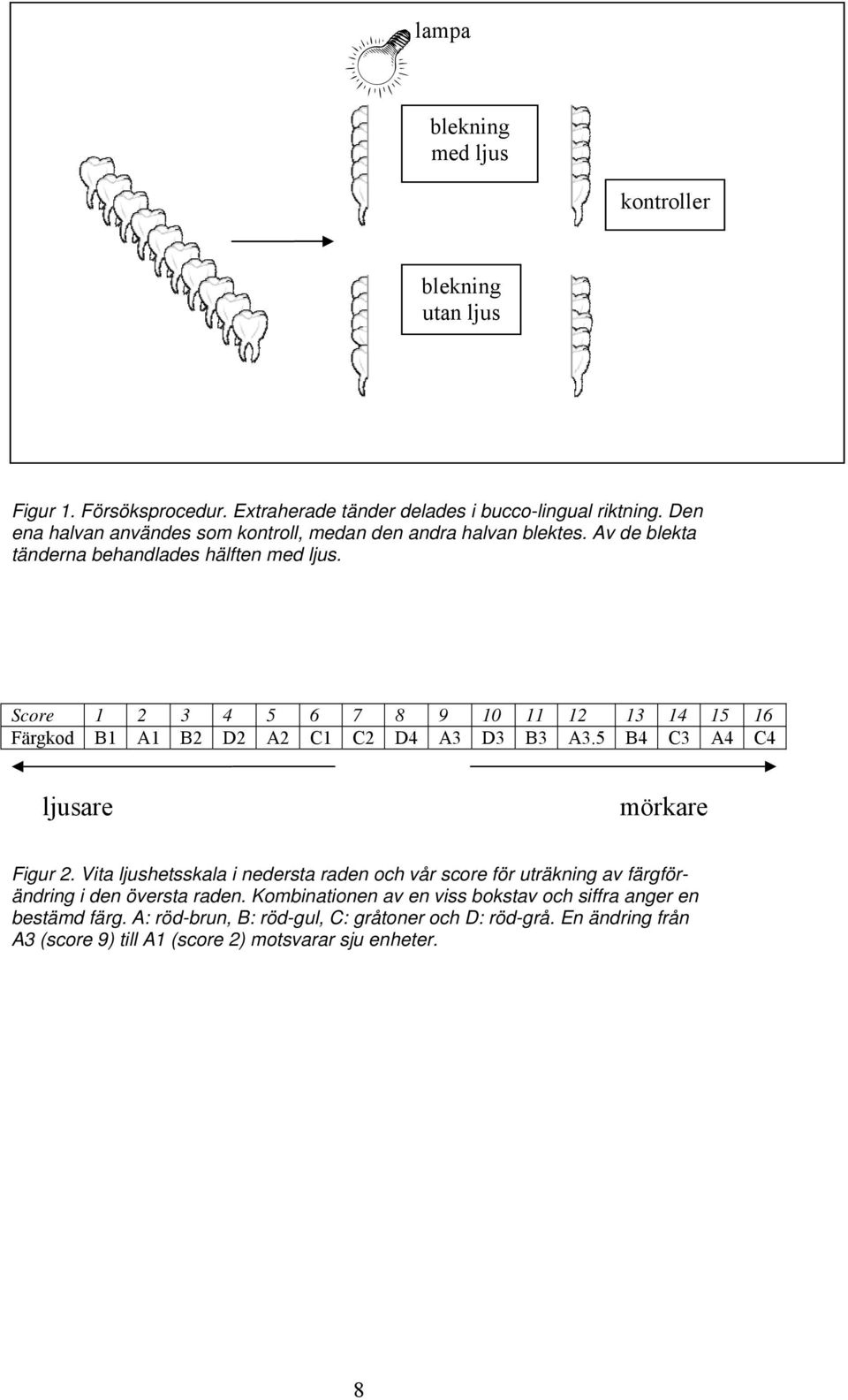 Score 1 2 3 4 5 6 7 8 9 10 11 12 13 14 15 16 Färgkod B1 A1 B2 D2 A2 C1 C2 D4 A3 D3 B3 A3.5 B4 C3 A4 C4 ljusare mörkare Figur 2.