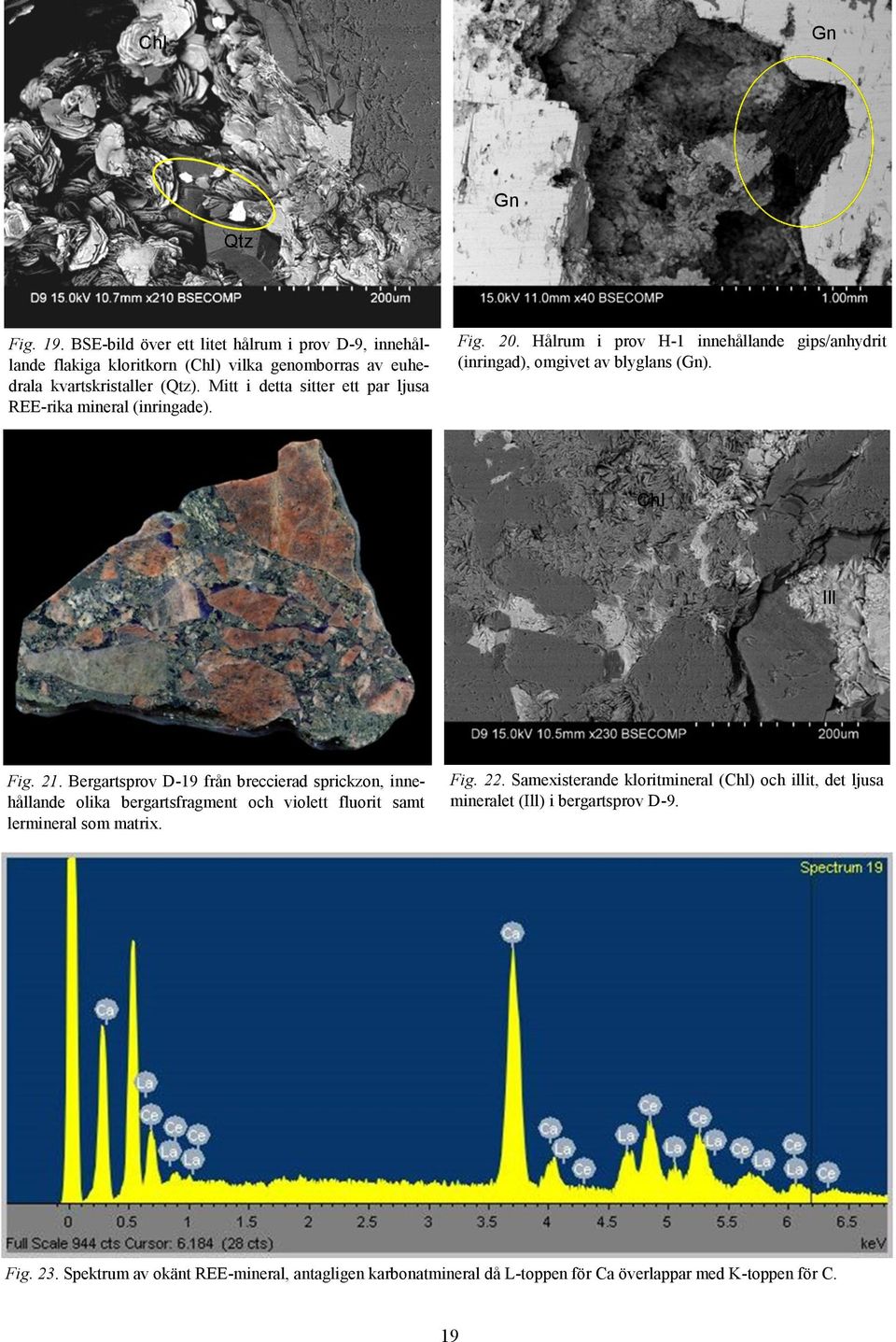 21. Bergartsprov D-19 från breccierad sprickzon, innehållande olika bergartsfragment och violett fluorit samt lermineral som matrix. Fig. 22.
