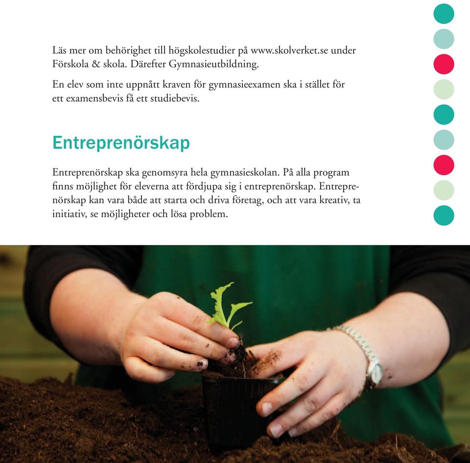Entreprenörskap Entreprenörskap ska genomsyra hela gymnasieskolan.