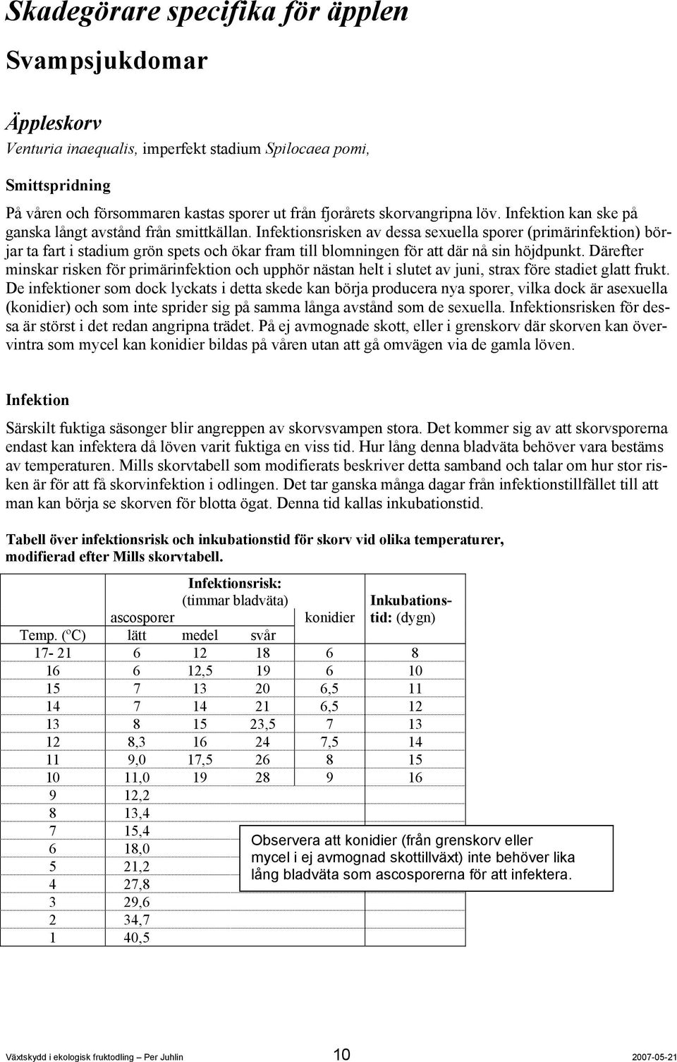 Infektionsrisken av dessa sexuella sporer (primärinfektion) börjar ta fart i stadium grön spets och ökar fram till blomningen för att där nå sin höjdpunkt.