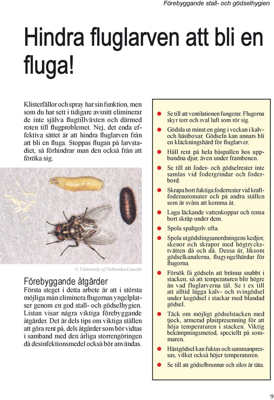 Nej, det enda effektiva sättet är att hindra flug larven från att bli en fluga. Stoppas flugan på larvstadiet, så förhindrar man den också från att föröka sig.