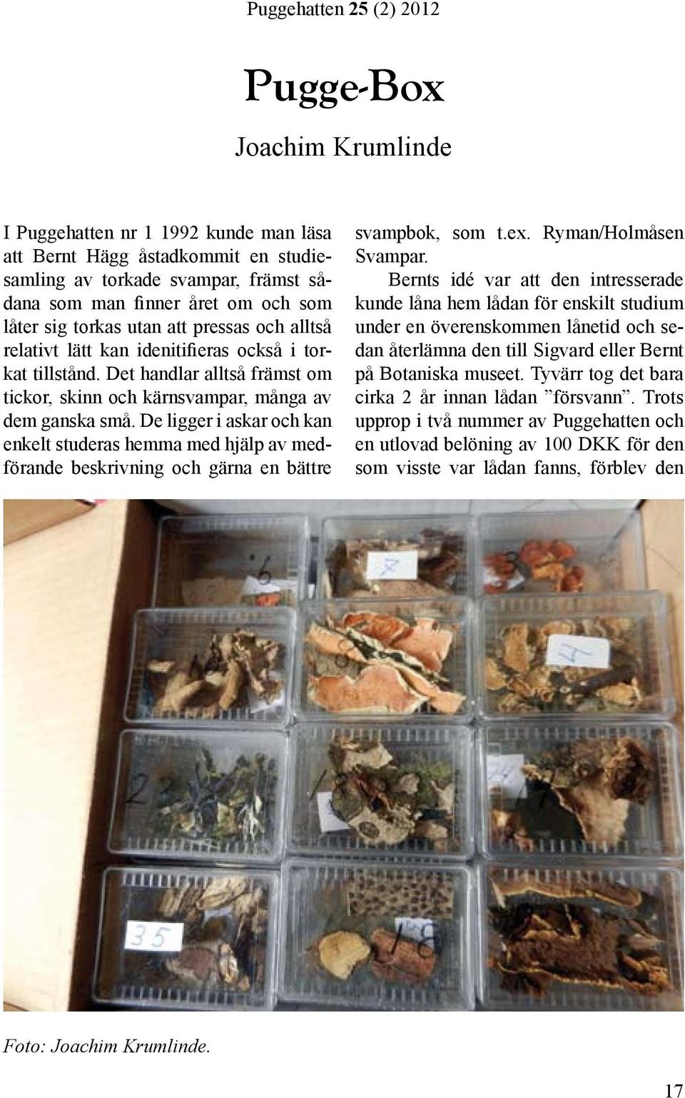 De ligger i askar och kan enkelt studeras hemma med hjälp av medförande beskrivning och gärna en bättre svampbok, som t.ex. Ryman/Holmåsen Svampar.