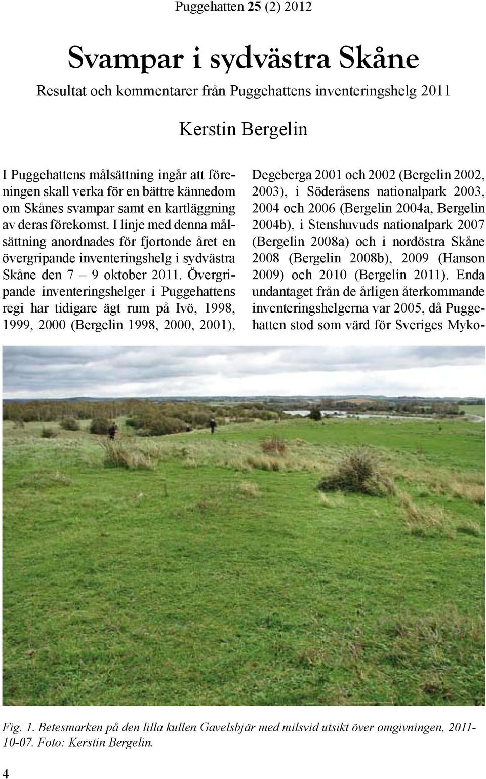 Övergripande inventeringshelger i Puggehattens regi har tidigare ägt rum på Ivö, 1998, 1999, 2000 (Bergelin 1998, 2000, 2001), Degeberga 2001 och 2002 (Bergelin 2002, 2003), i Söderåsens nationalpark