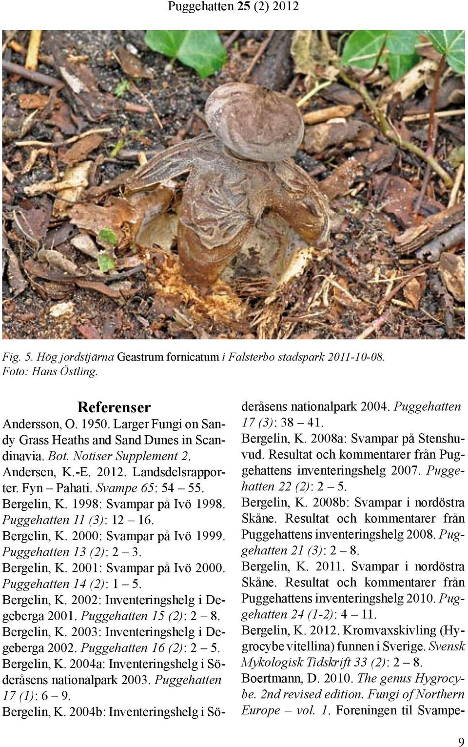 Puggehatten 13 (2): 2 3. Bergelin, K. 2001: Svampar på Ivö 2000. Puggehatten 14 (2): 1 5. Bergelin, K. 2002: Inventeringshelg i Degeberga 2001. Puggehatten 15 (2): 2 8. Bergelin, K. 2003: Inventeringshelg i Degeberga 2002.