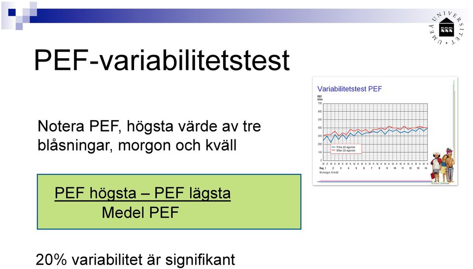 morgon och kväll PEF högsta PEF