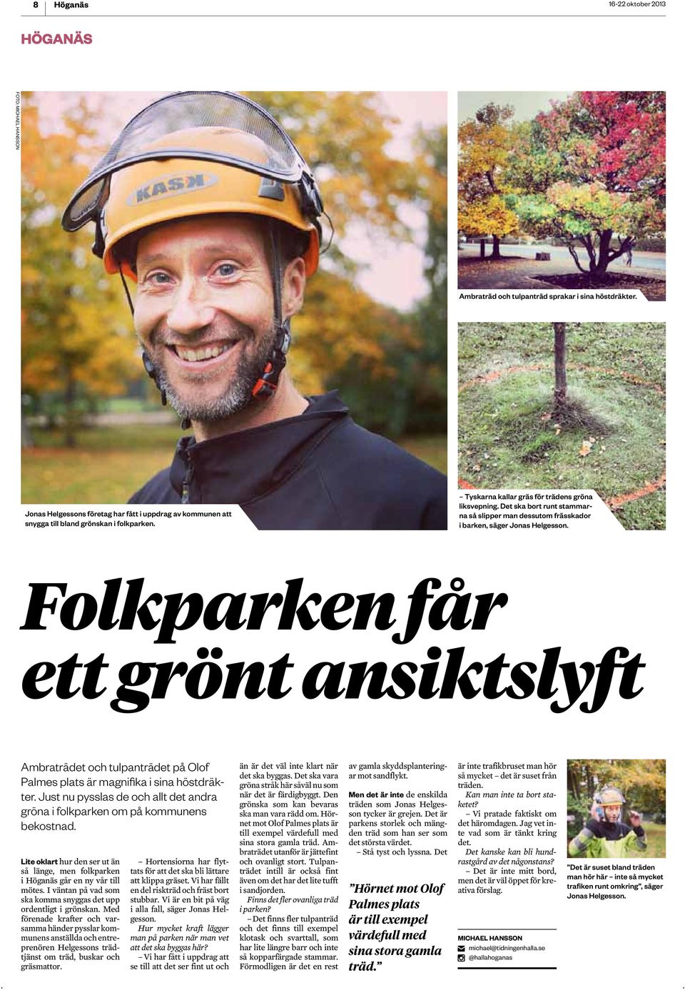 Ambraträdet och tulpanträdet på Olof Palmes plats är magnifika i sina höstdräkter Just nu pysslas de och allt det andra gröna i folkparken om på kommunens bekostnad Lite oklart hur den ser ut än så